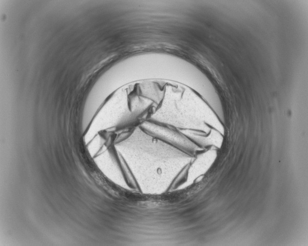 X0000085250356200704092055