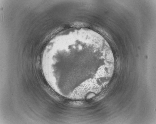 X0000085250361200704092055