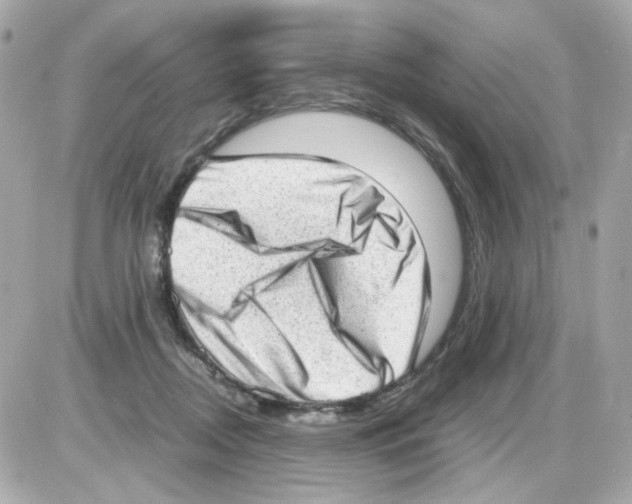 X0000085250362200704092055