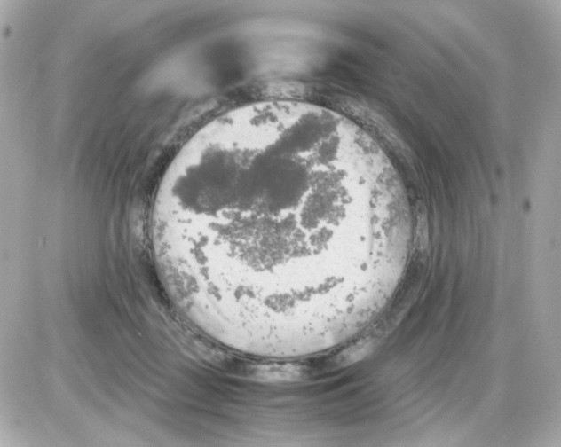 X0000085250363200704092055