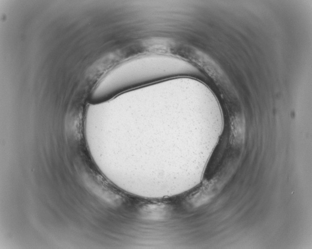 X0000085250364200704092055