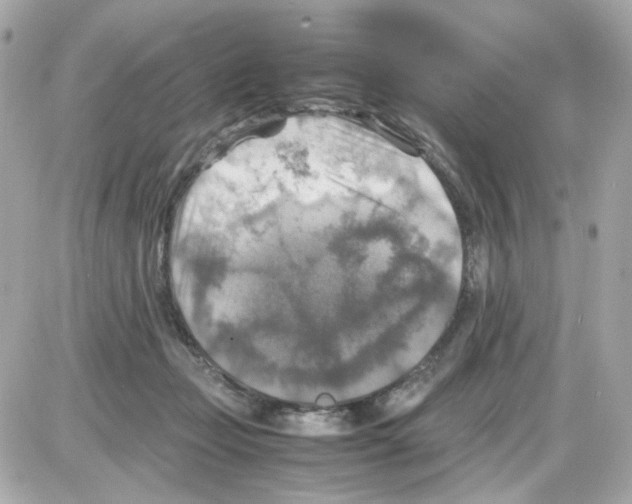 X0000085250365200704092055