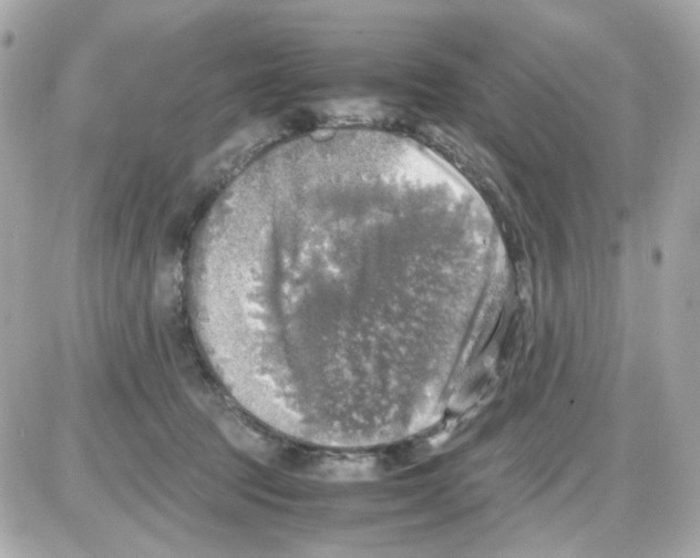 X0000085250369200704092055