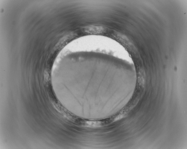 X0000085250371200704092055