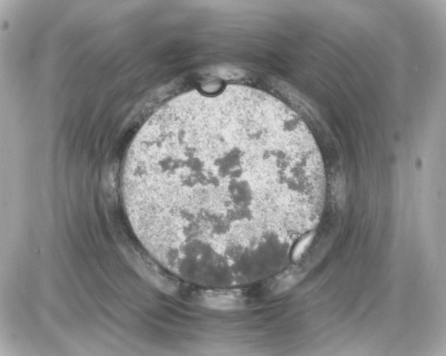 X0000085250373200704092055