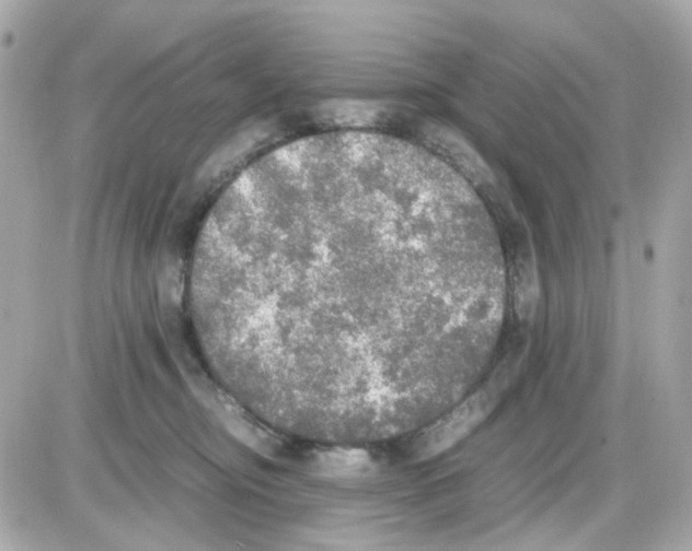 X0000085250374200704092055