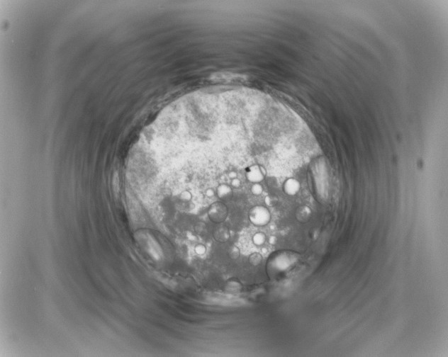 X0000085250375200704092055