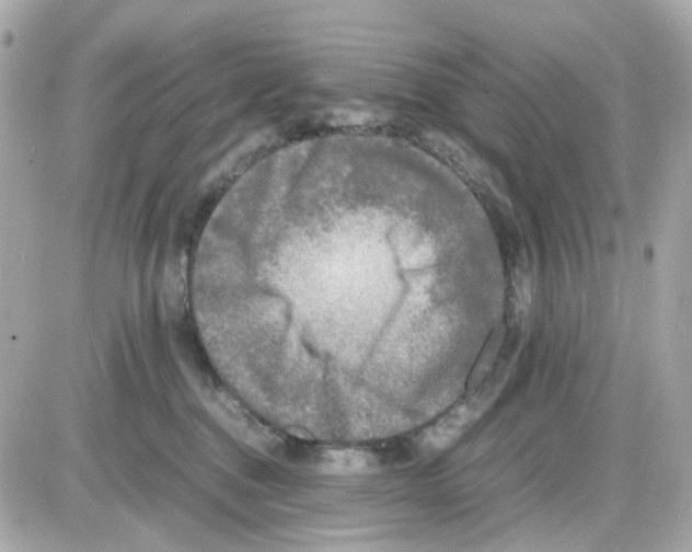 X0000085250376200704092055