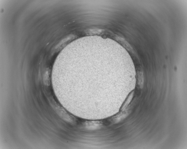 X0000085250378200704092055