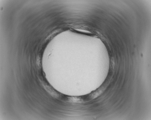 X0000085250380200704092055