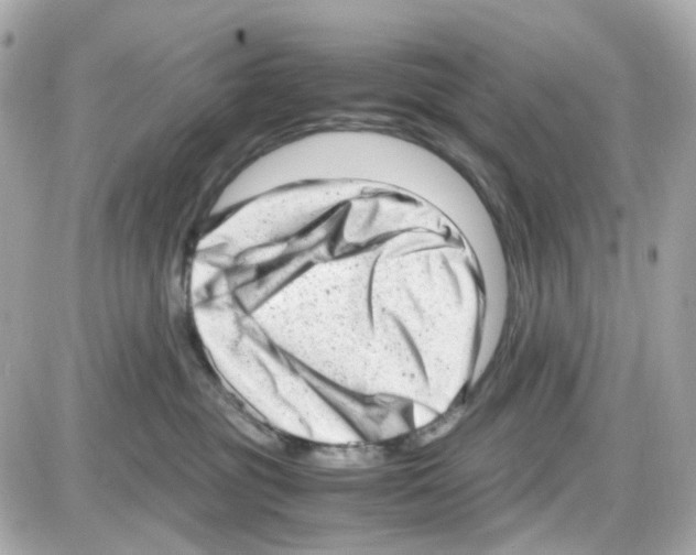 X0000085250381200704092055