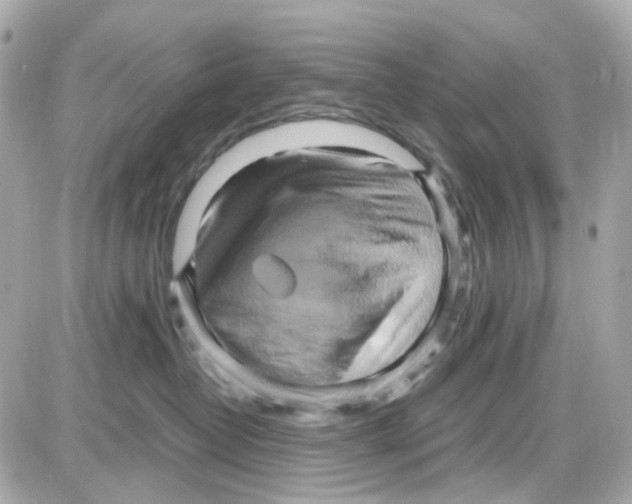 X0000085250382200704092055