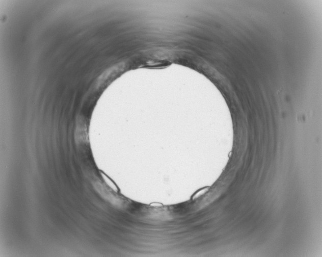 X0000085250384200704092055