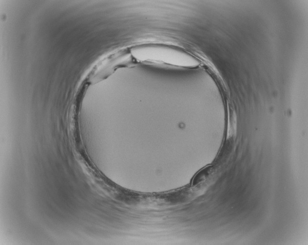 X0000085250387200704092054