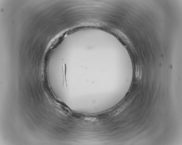 X0000085250388200704092054