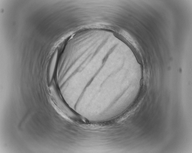 X0000085250389200704092054