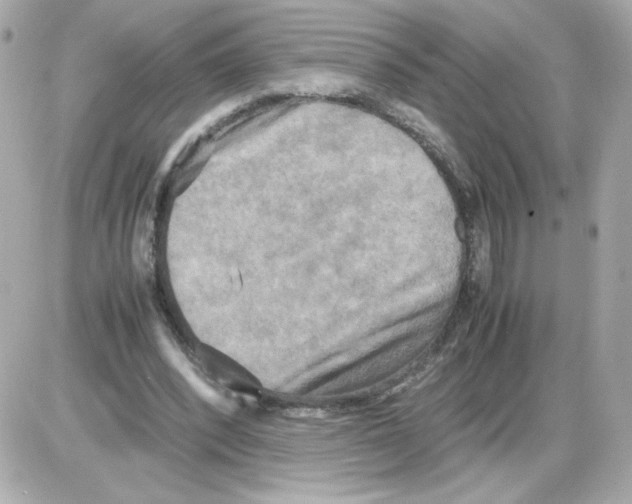 X0000085250392200704092054