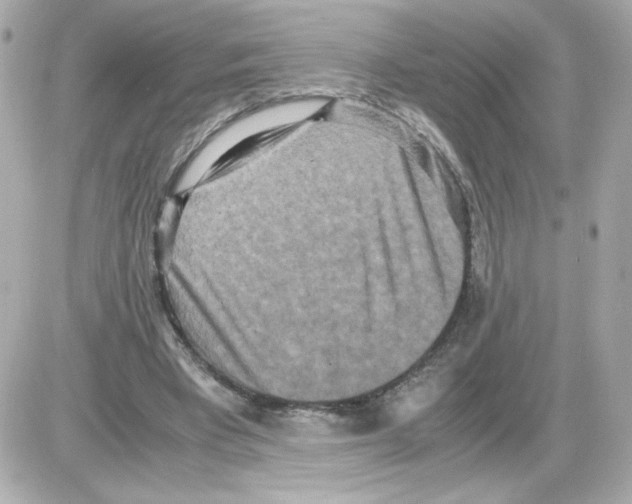 X0000085250393200704092054