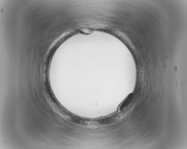 X0000085250395200704092054