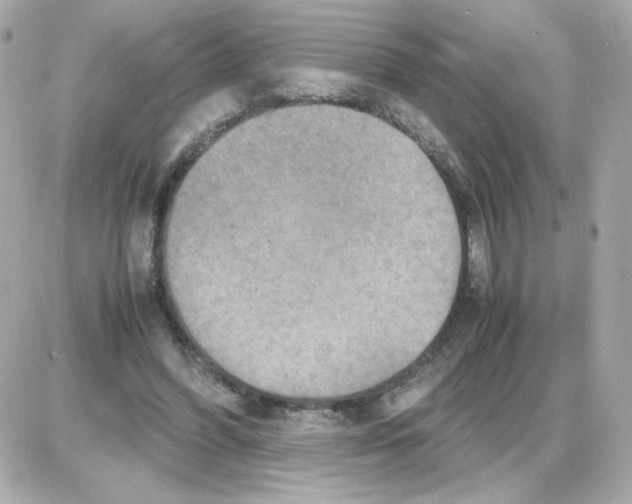 X0000085250396200704092054