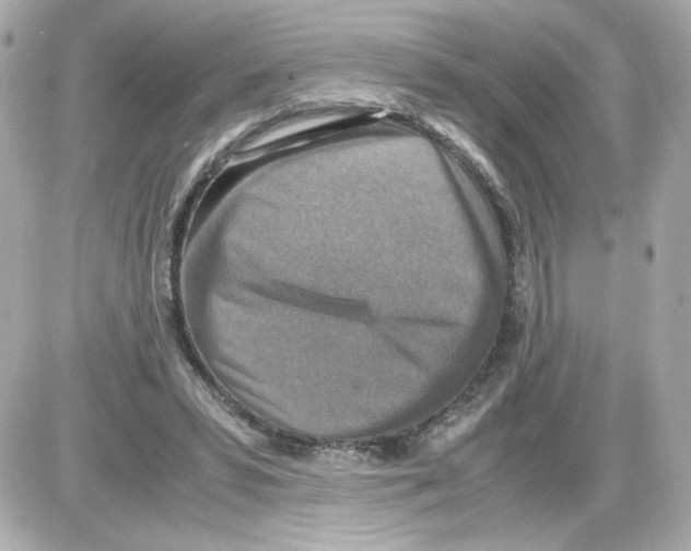 X0000085250399200704092054