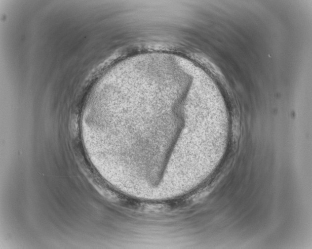 X0000085250401200704092054