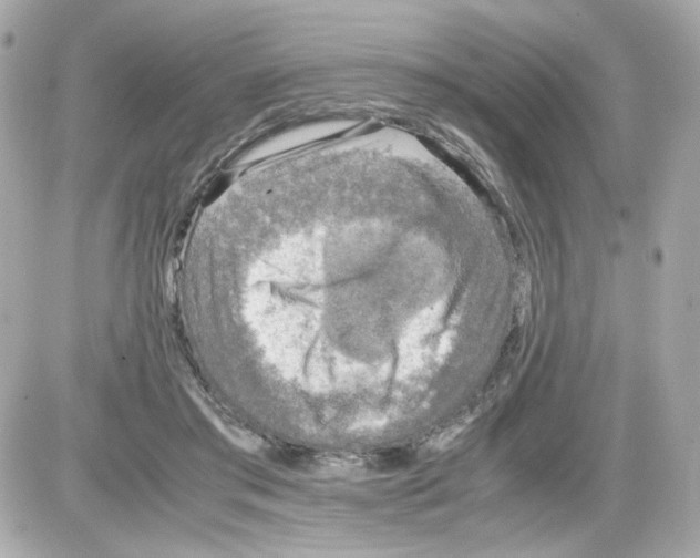 X0000085250405200704092054