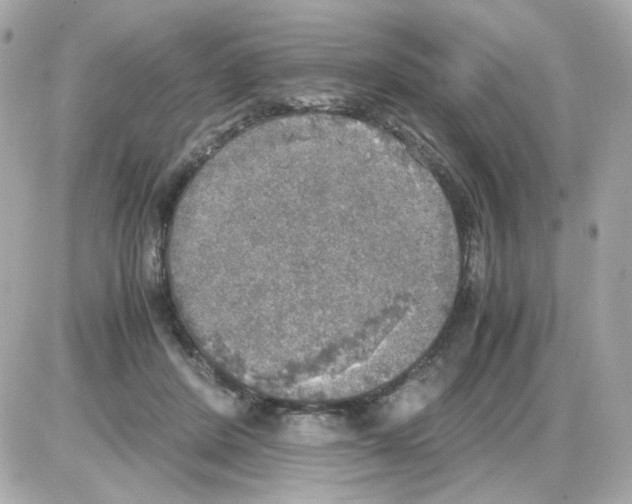 X0000085250408200704092054