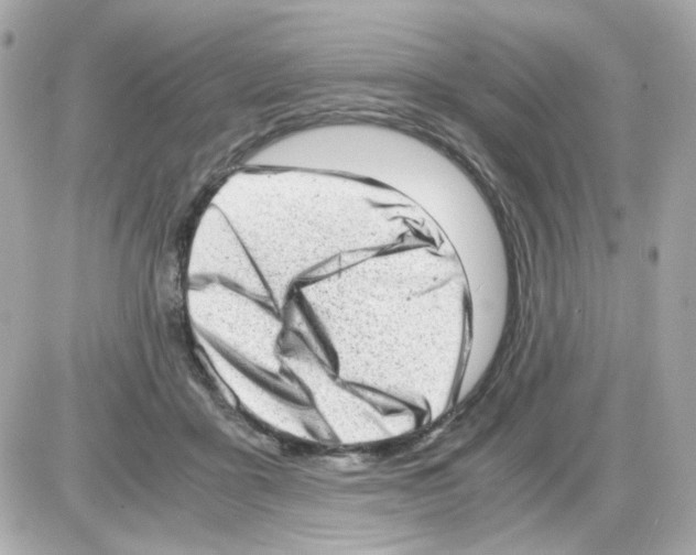 X0000085250411200704092054