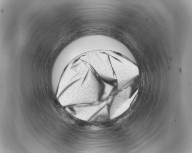 X0000085250412200704092054