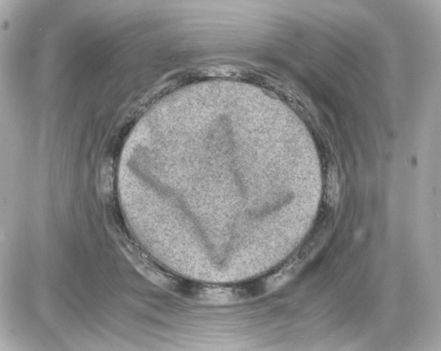 X0000085250413200704092054