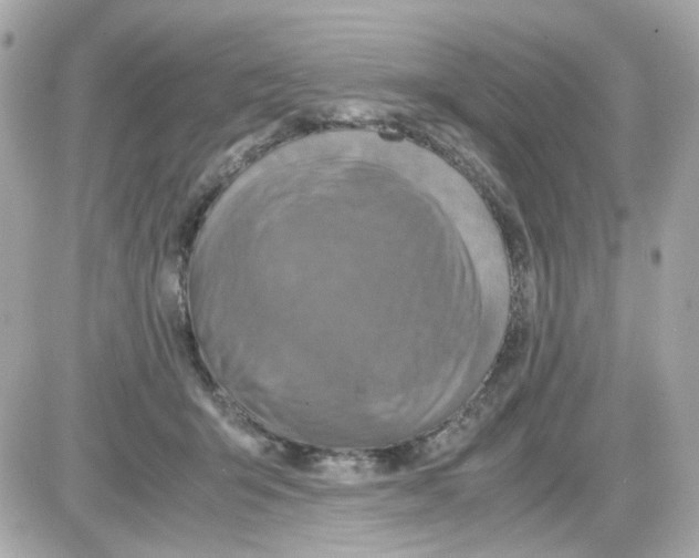 X0000085250415200704092054