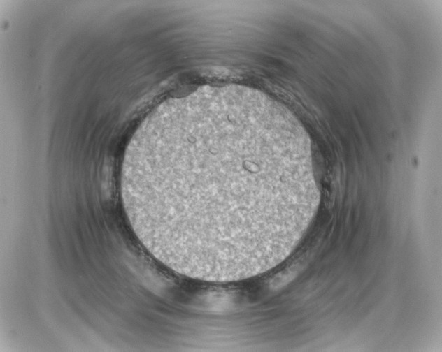 X0000085250416200704092054