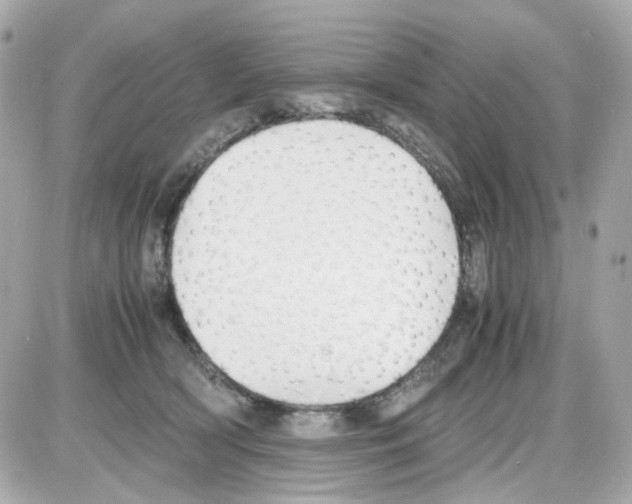 X0000085250418200704092054