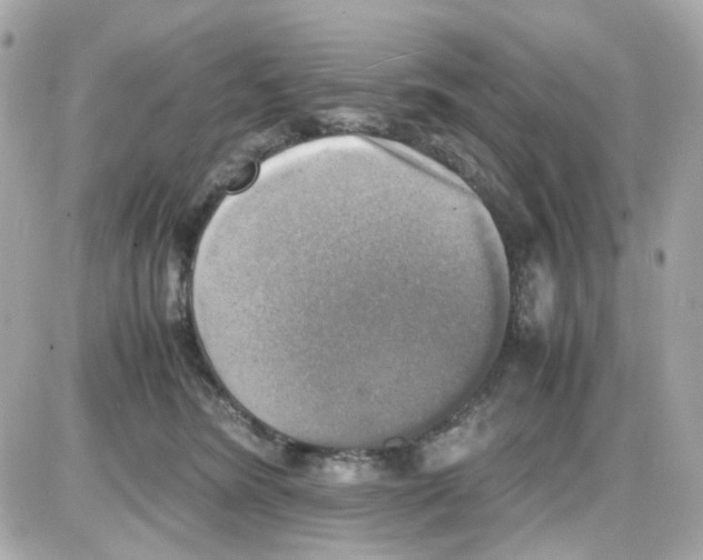 X0000085250420200704092054