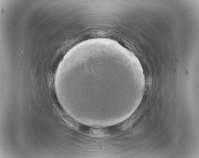 X0000085250423200704092054