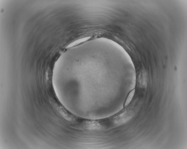 X0000085250424200704092054