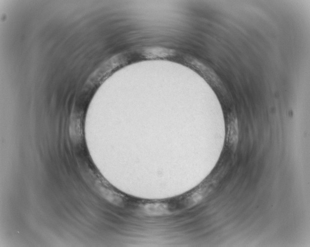 X0000085250426200704092054