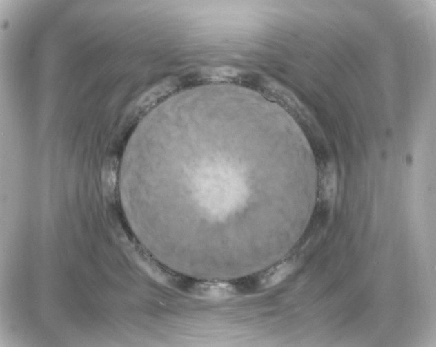 X0000085250427200704092054