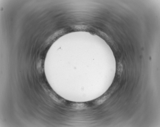 X0000085250428200704092053