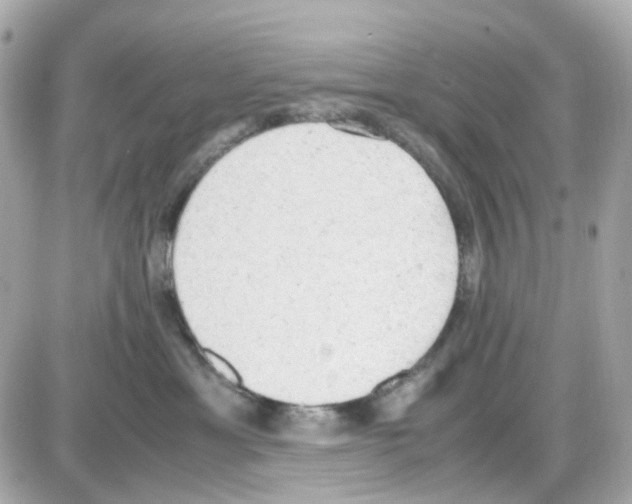 X0000085250429200704092053