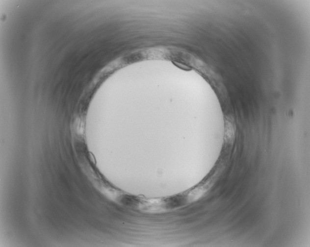 X0000085250431200704092053