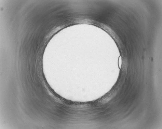 X0000085250433200704092053