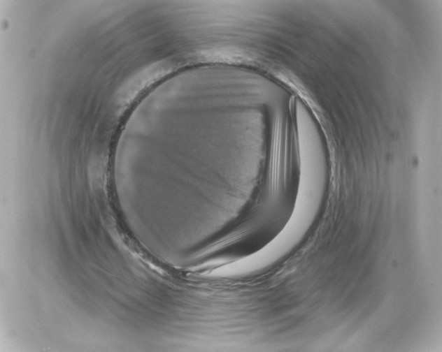 X0000085250434200704092053