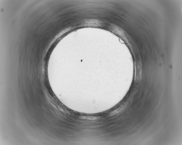 X0000085250435200704092053