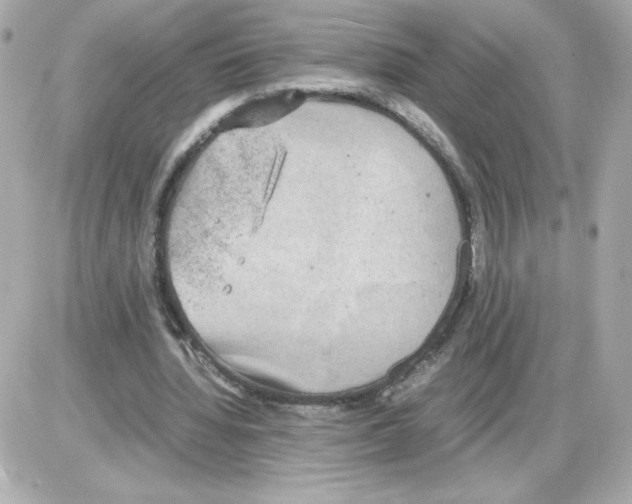 X0000085250436200704092053