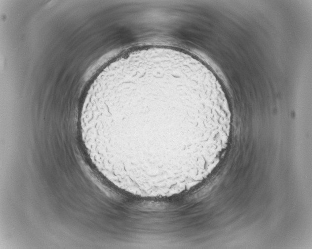 X0000085250437200704092053