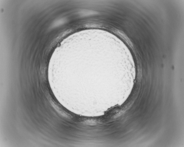 X0000085250441200704092053