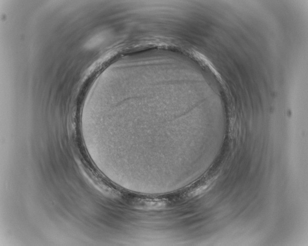 X0000085250443200704092053