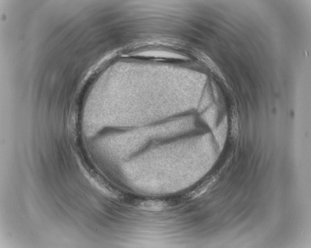 X0000085250444200704092053